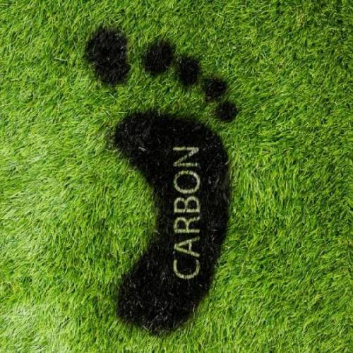 What is your “carbon footprint” size?