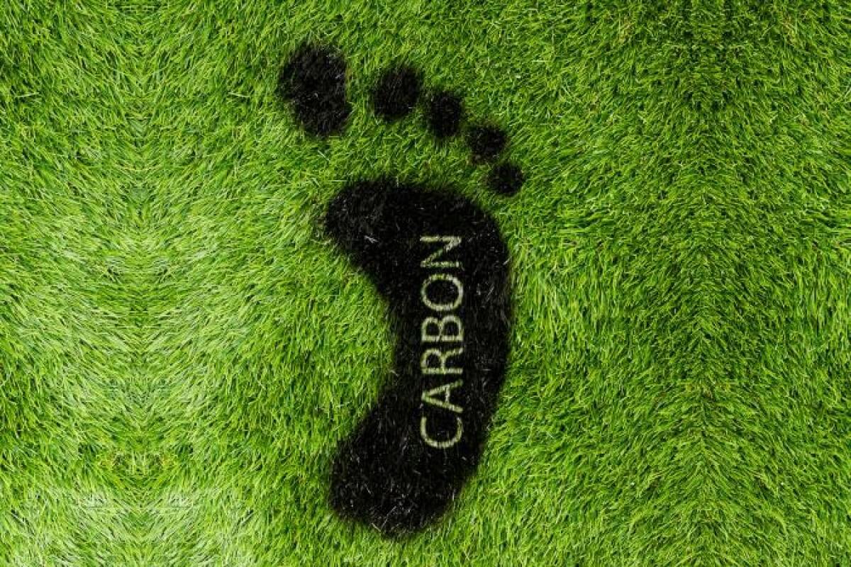 What is your “carbon footprint” size?